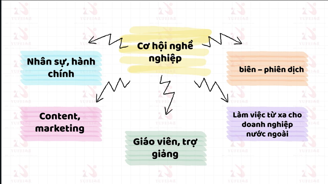 Đa Dạng Cơ Hội Nghề Nghiệp