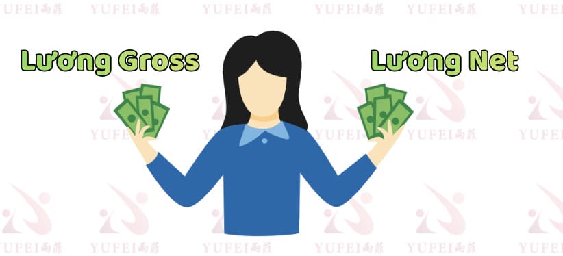Lương Gross Là Gì? Nên Deal Lương Gross Hay Lương Net Để Không Bị “Thiệt” Khi Nhận Lương 2 Lương Net Là Gì