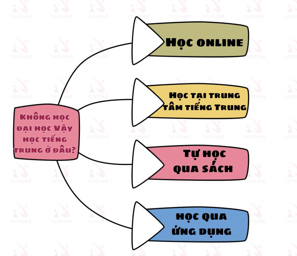 Không Học Đại Học Có Làm Việc Tiếng Trung Được Không Trong Công Ty Trung Quốc